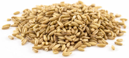 Acovior gluten-free whole oat groats for healthy cooking and recipes.