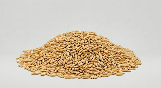 Acovior gluten-free whole oat groats for healthy cooking and recipes.