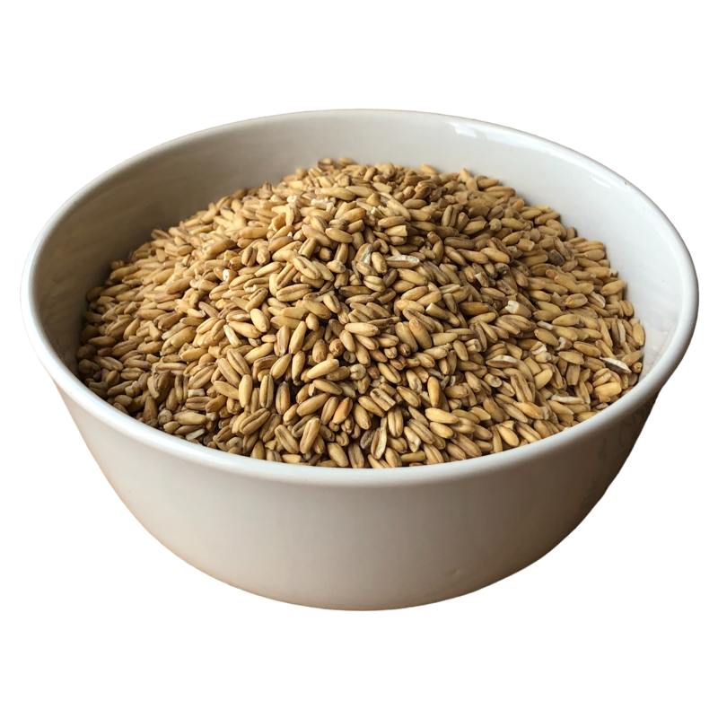 Whole gluten‑free oat groats in a bowl